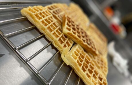 256330969_247210727384037_2711460693294575665_n